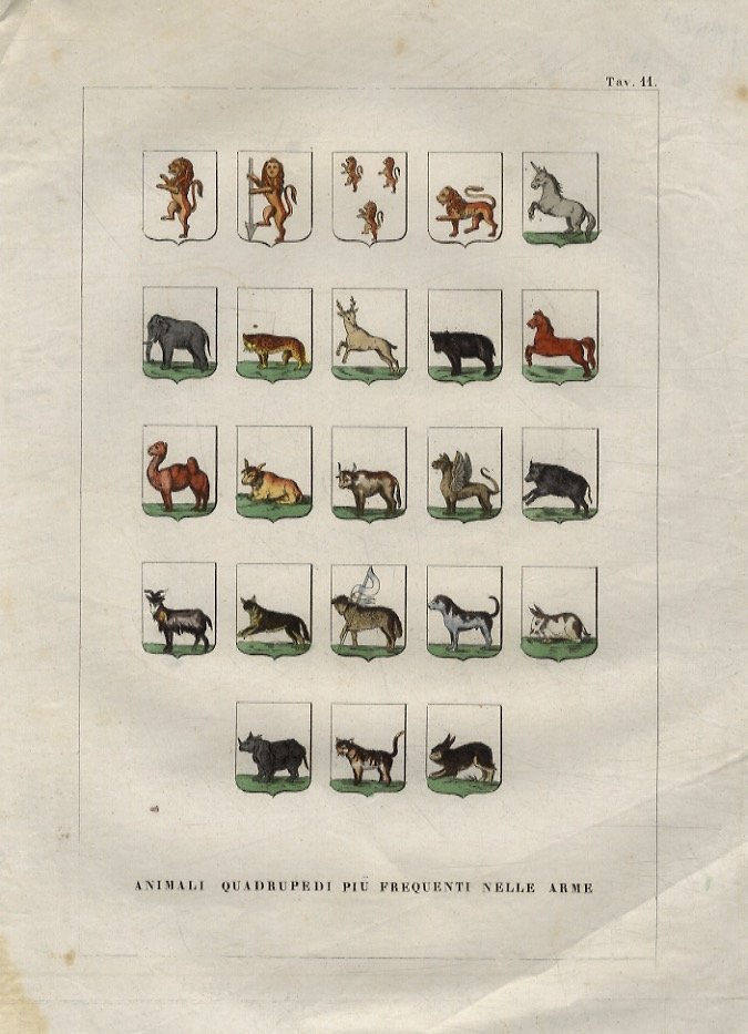 ANIMALI quadrupedi più frequenti nelle arme.