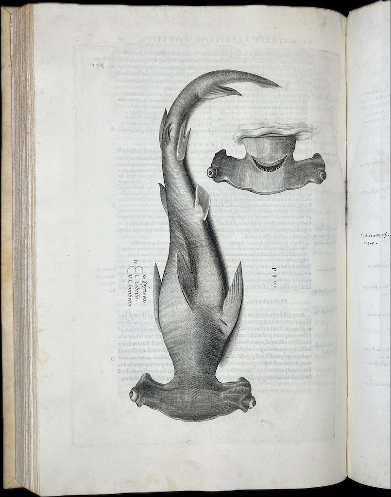 Aquatilium animalium historiae, liber primus, cum eorundem formis, aere excusis. …