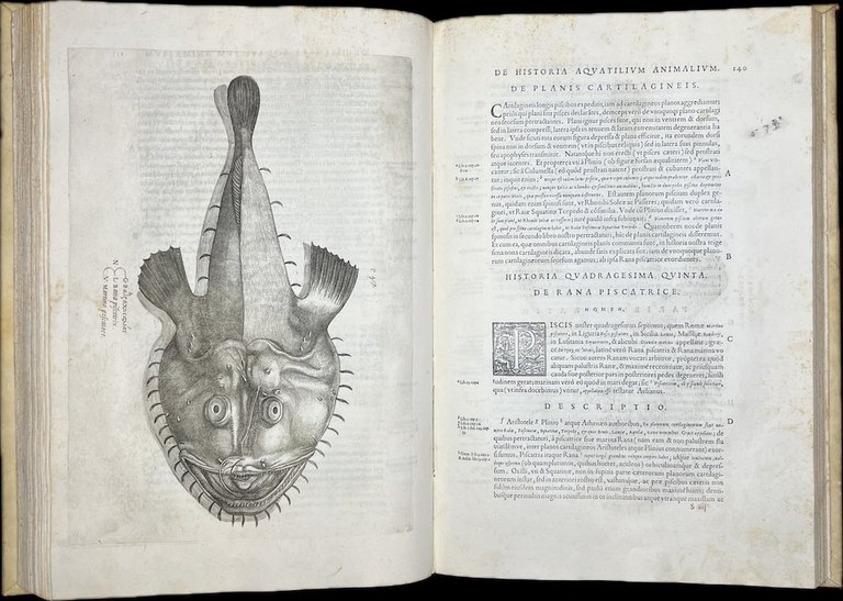Aquatilium animalium historiae, liber primus, cum eorundem formis, aere excusis. …