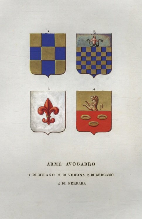 AVOGADRO di Milano, di Verona, di Bergamo, di Ferrara, di … | Immagine Gallery 2