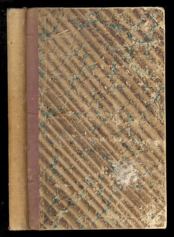 Avventure di tre Russi e tre Inglesi nell'Africa Australe [.] …