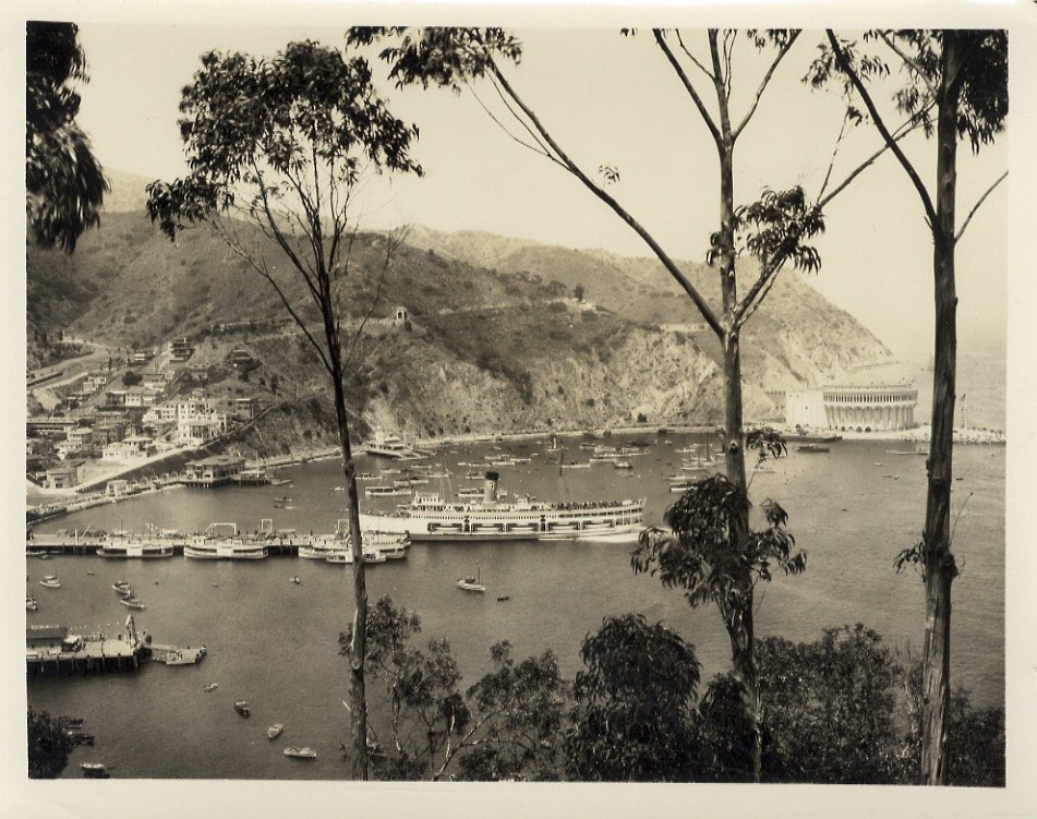 [Barche e navi nel porto a Avalon Bay, California]. | Immagine principale