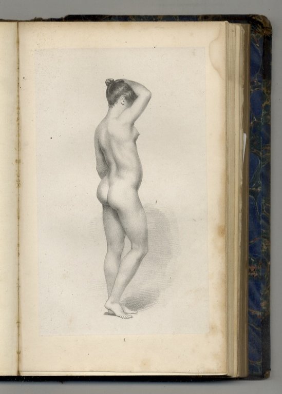 Beauty. Illustrated chiefly by an analysis and classification of beauty …