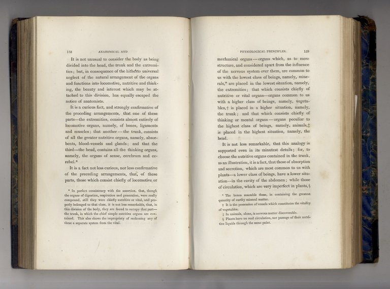 Beauty. Illustrated chiefly by an analysis and classification of beauty …