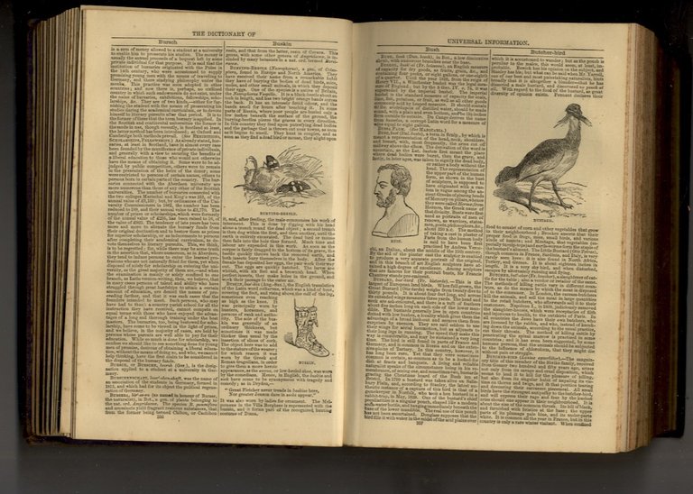 BEETON'S Dictionary of Universal Information; comprising a complete summary of …