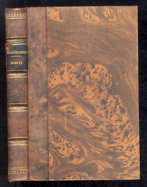 Besitz und Besitzschutz. Studien über alte Probleme.