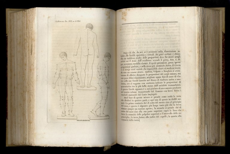 Biblioteca greca delle belle arti [.] Tomo primo: [Le statue … | Immagine Gallery 2