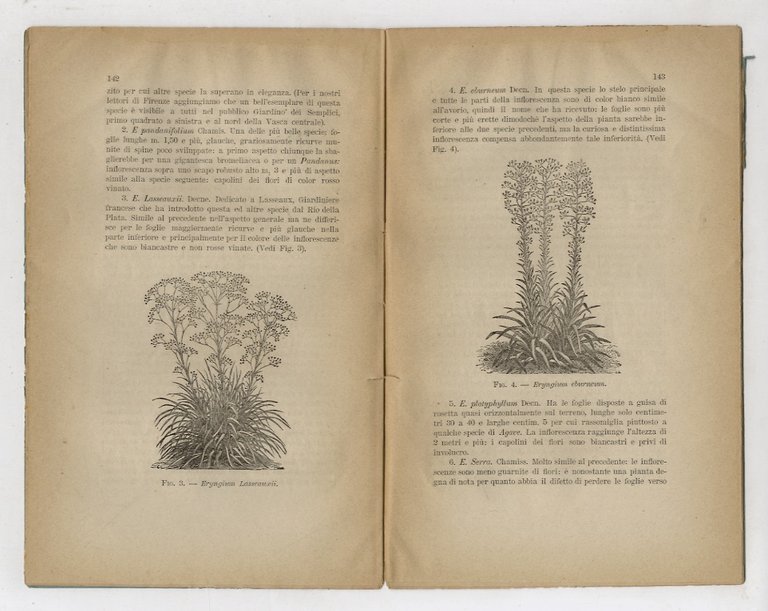 BOLLETTINO della R. Società Toscana di Orticoltura. Anno I. 1876. …