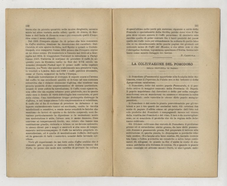 BOLLETTINO della R. Società Toscana di Orticoltura. Anno IV. 1879. …