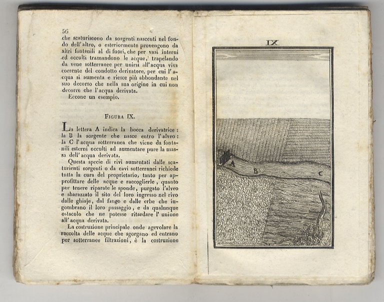 Casi pratici con ispiegazioni e osservazioni con cinquanta rami che …