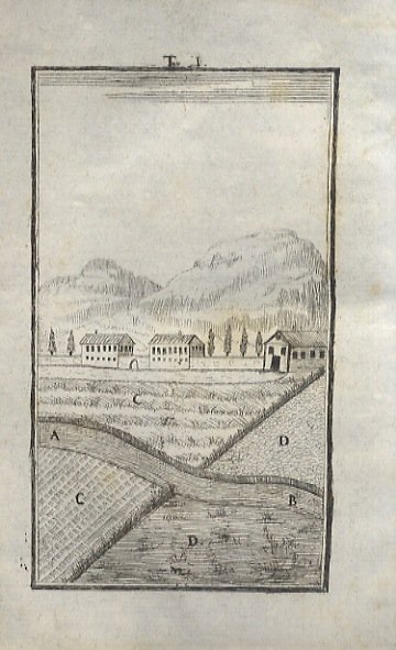 Casi pratici con ispiegazioni e osservazioni con cinquanta rami che …