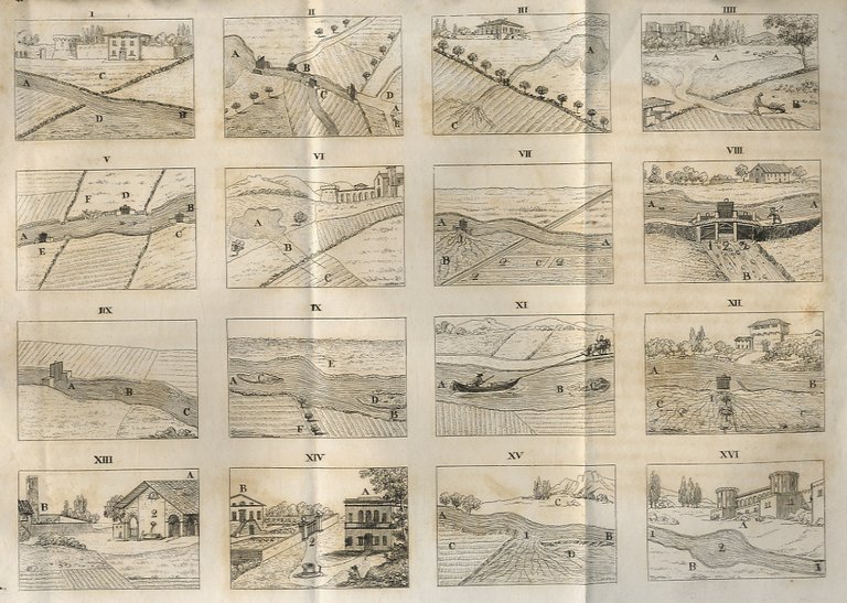 Casi pratici con ispiegazioni e osservazioni dell'avvocato Luigi Piccoli che …