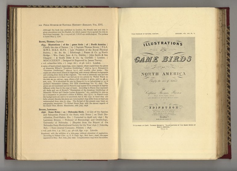 Catalogue of the Edward E. Ayer Ornithological Library. Part I … | Immagine Gallery 3