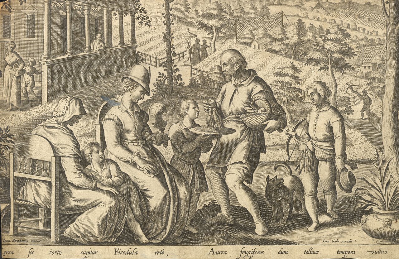 Cerea sic torto capitur Ficedula reti, Aurea frigiferos dum tollunt …