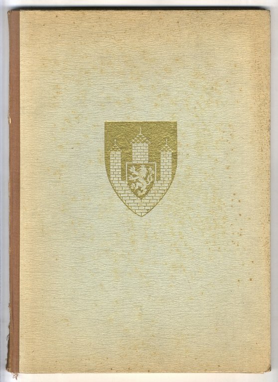 České Budějovice v dřevorytech Karla Štěcha.