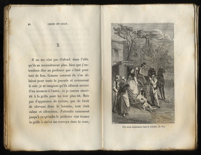 Chien et chat, ou Mémoires de Capitaine et de Minette. …