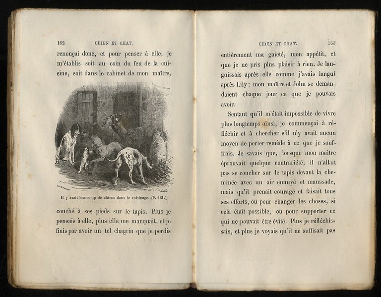 Chien et chat, ou Mémoires de Capitaine et de Minette. …