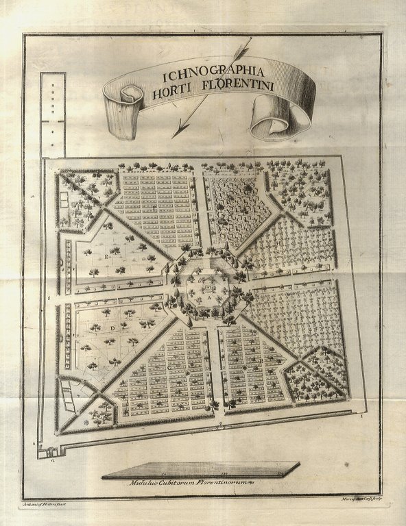 CL. Petri Antonii Michelii Catalogus plantarum horti caesarei Florentini opus …