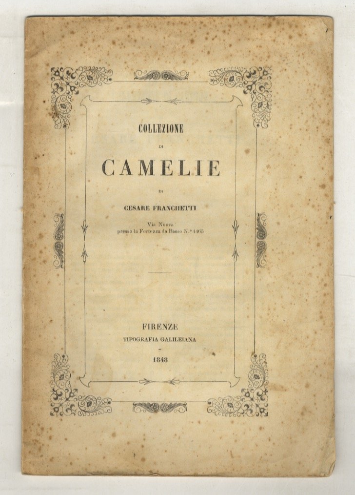 COLLEZIONE di Camelie di Cesare Franchetti. Via Nuova presso la …