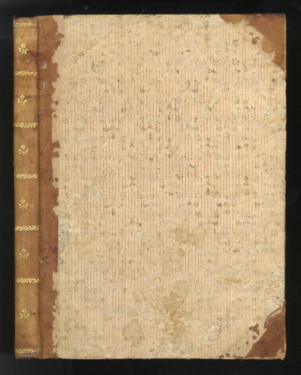 Constituzioni della Compagnia delle vergini miserabili di Santa Caterina della …