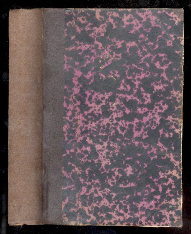 Daniele Cortis. Romanzo. Ventinovesima edizione.