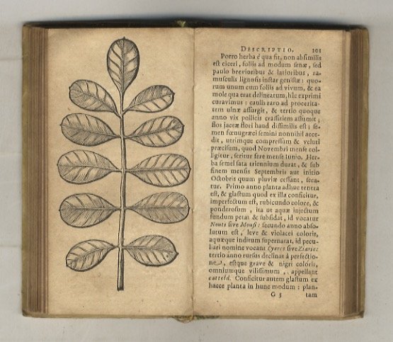 De Imperio magni Mogolis sive India vera Commentarius. E varijs …