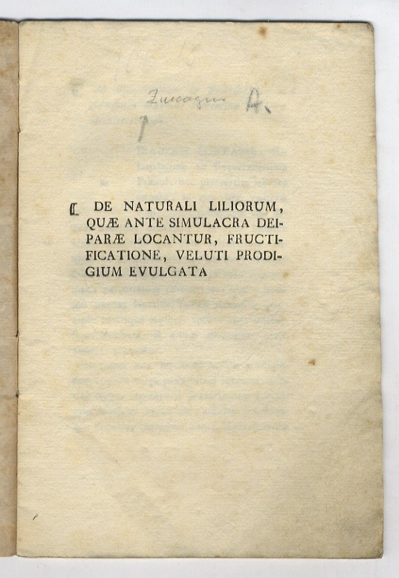 De naturali liliorum, quae ante simulacra deiparae locantur, fructificatione, veluti …
