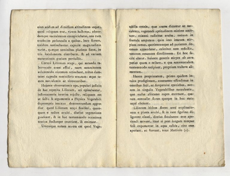 De naturali liliorum, quae ante simulacra deiparae locantur, fructificatione, veluti …