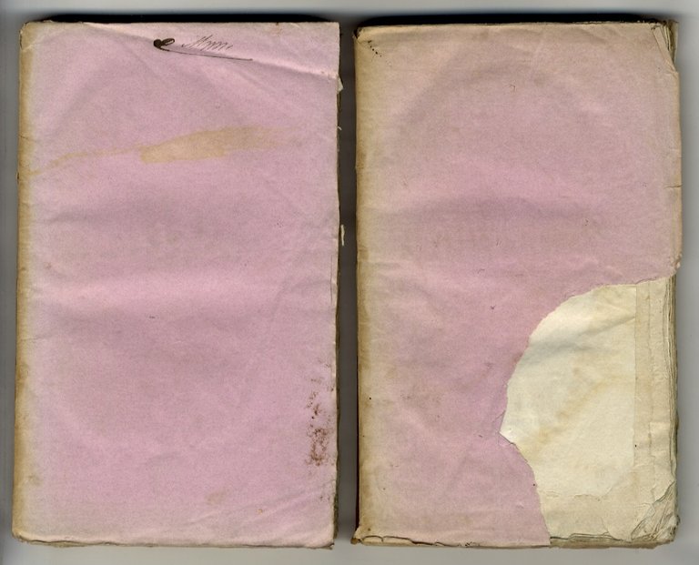 Del furto e sua pena, trattato. Con alcune osservazioni generali …