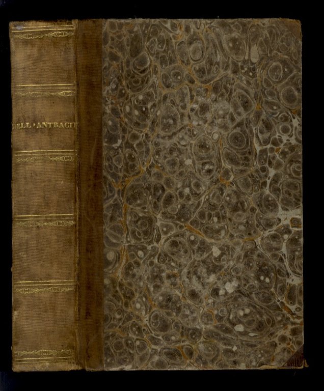 Dell'antracite o carbone di cava volgarmente carbon fossile. Compilazione fatta …