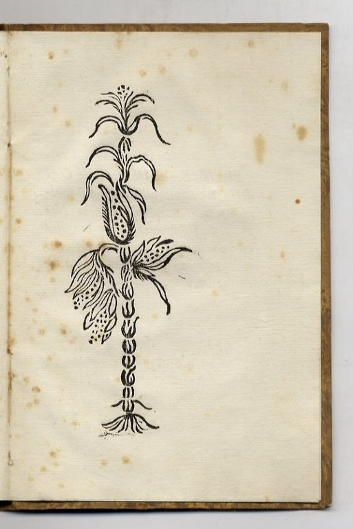 Della necessità di accrescere e migliorare l'agricoltura nella Toscana discorso …