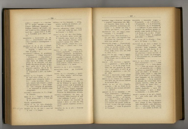 Dizionario del dialetto di Vittorio Veneto.