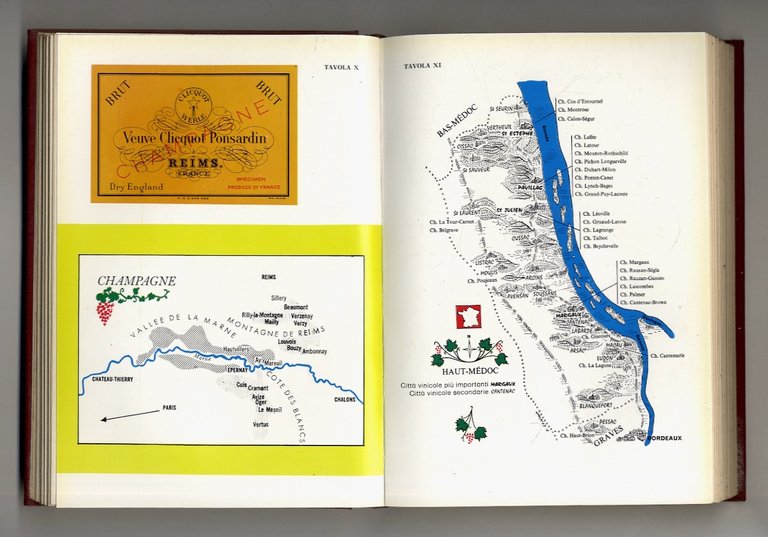 Dizionario enciclopedico dei vini. Edizione italiana a cura di Bruno …