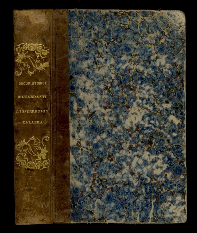 DOCUMENTI storici riguardanti l'insurrezione calabra. Preceduti dalla storia degli avvenimenti …