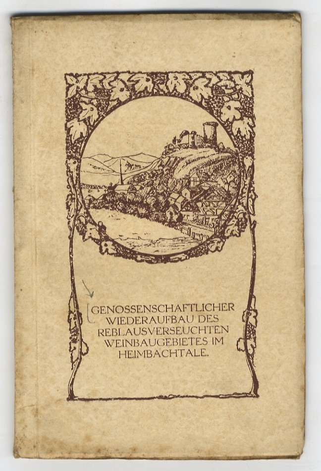 Genossenschaftlicher Wiederaufbau des reblausverseuchten Weinbaugebietes im Heimbachtale.