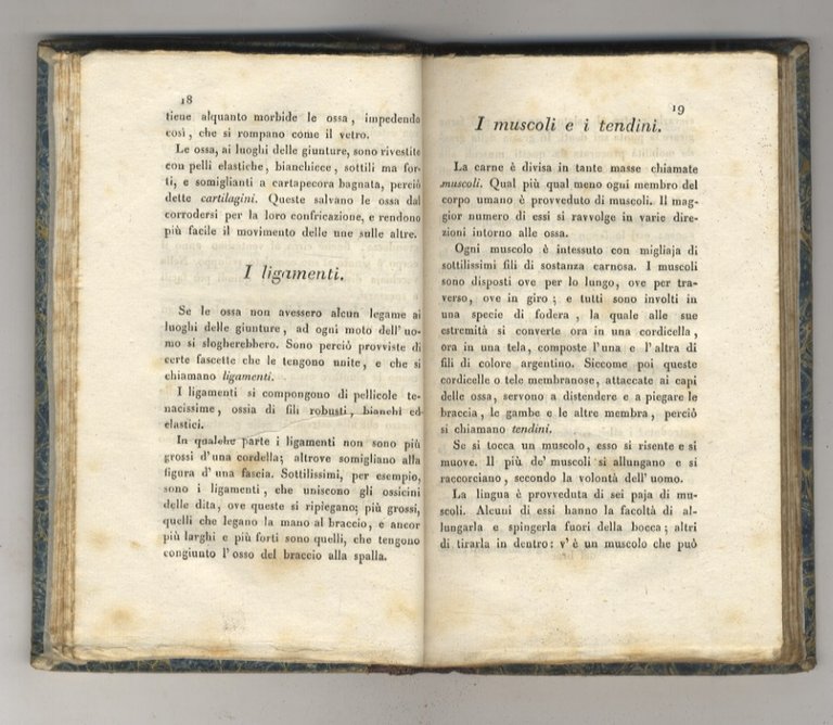 Giannetto. Opera che ottenne dalla Società fiorentina dell'istruzione elementare il …