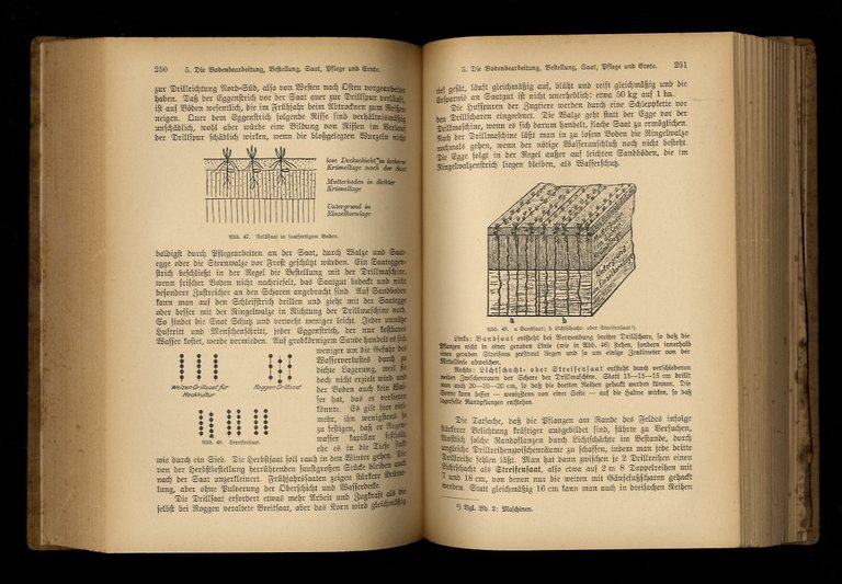 Grundsätze und Ziele neuzeitlicher Landwirtschaf. 1. Band: Das Feld. 2. …