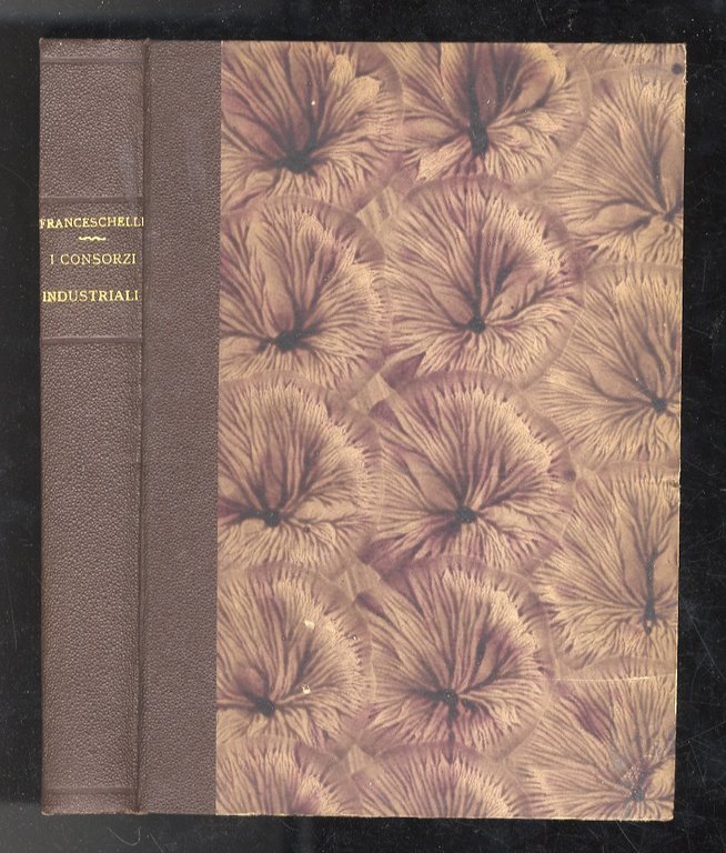 I consorzi industriali. | Immagine Gallery 2