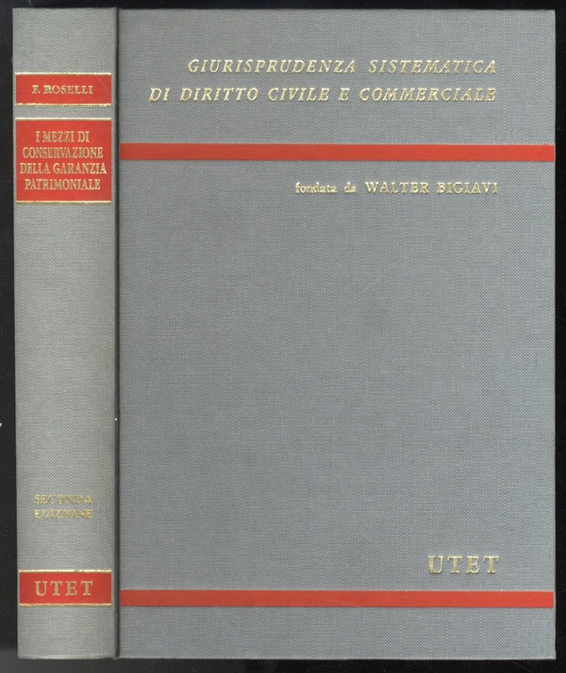 I mezzi di conservazione della garanzia patrimoniale. Seconda edizione.