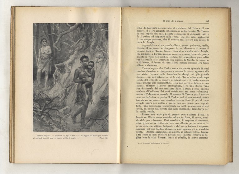 I Racconti della Jungla di Tarzan. Sesta edizione.