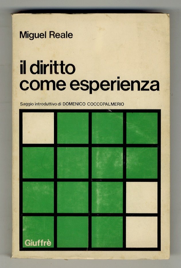 Il diritto come esperienza. Saggio introduttivo di Domenico Coccopalmerio.