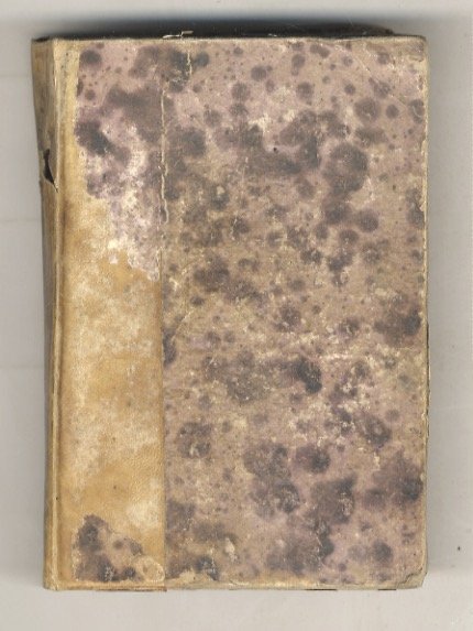Il fiore d'aloe. Seguito all'abbazia di Carrow di S.F. Smith. …