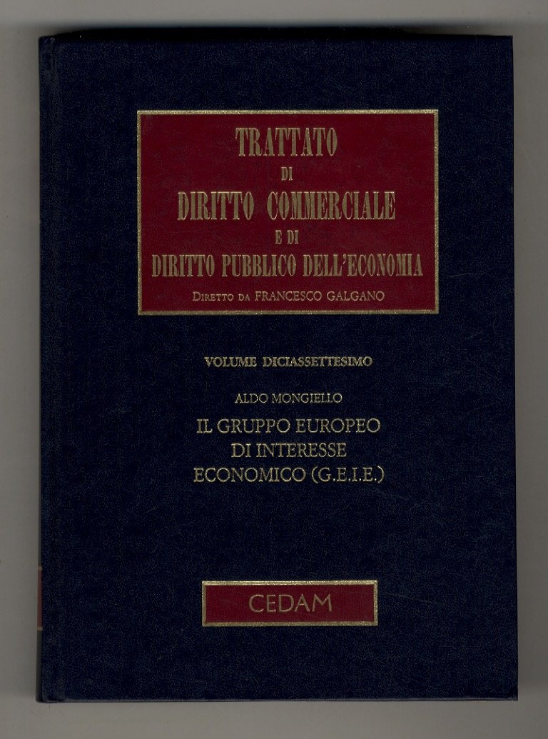 Il gruppo europeo di interesse economico. (G.E.I.E.).