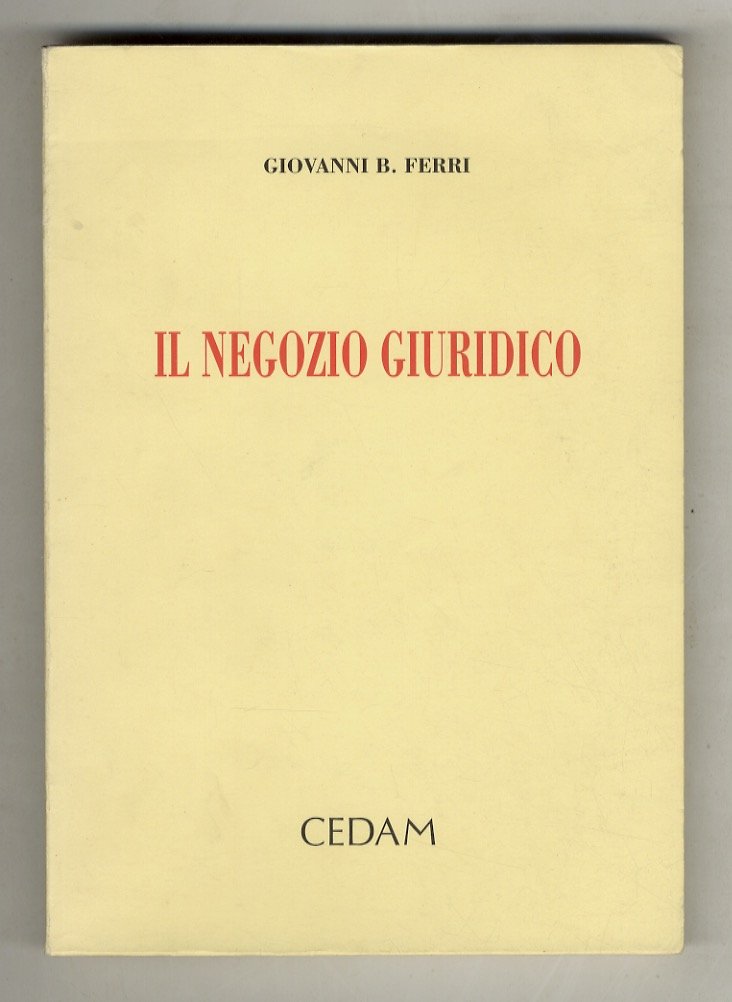 Il negozio giuridico.