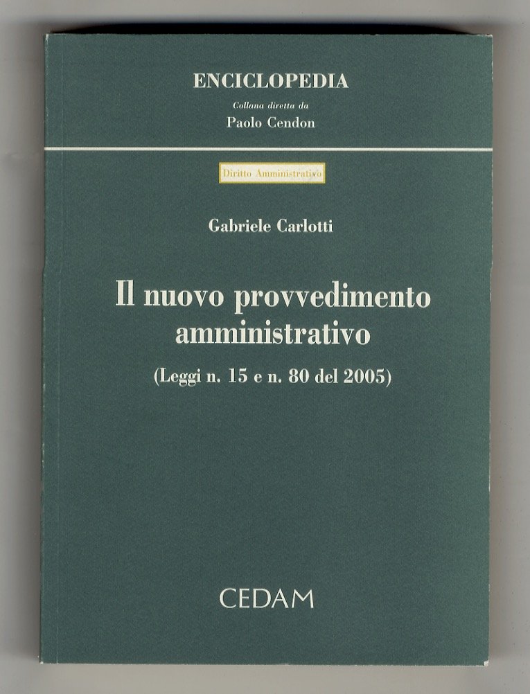 Il nuovo provvedimento amministrativo. (Leggi n. 15 e n.80 del …