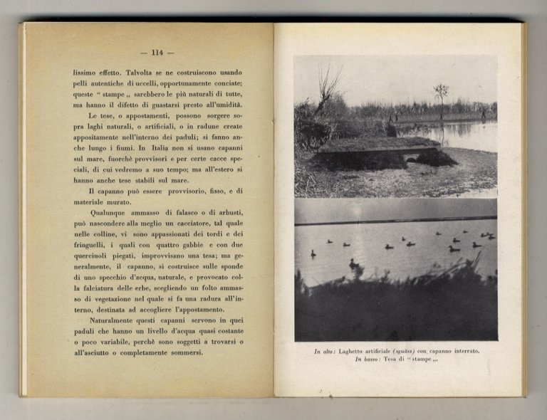 Il padule. Uccelli - cacce, appostamenti - armi - cani …