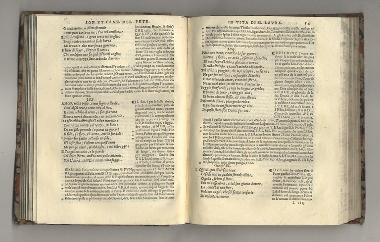 [Il Petrarcha con l'espositione di M. Gio. Andrea Gesualdo. Nuovamente …