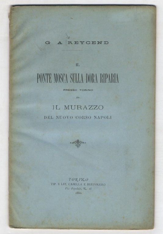 Il ponte Mosca sulla Dora Riparia presso Torino ed il … | Immagine Gallery 1