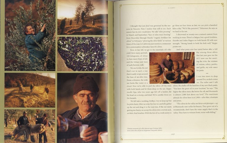 In Tuscany. By Frances Mayes with Edward Mayes. Photographs by … | Immagine Gallery 3