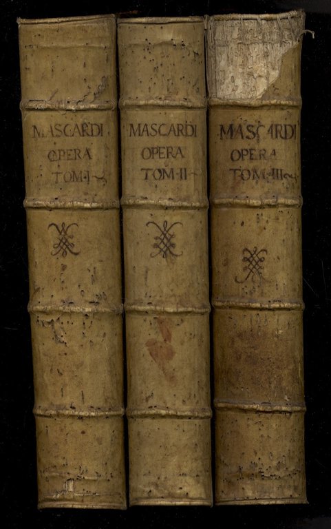 Iosephi Mascardi iurisconsulti Sarzanensis protonotarii apostolici [.] Conclusiones probationum omnium …